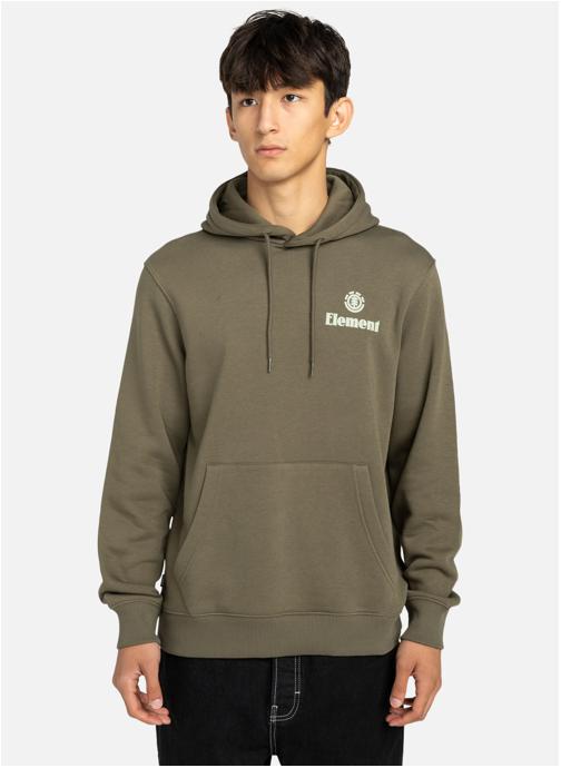 Element Sweats à capuche Epic Po homme vert