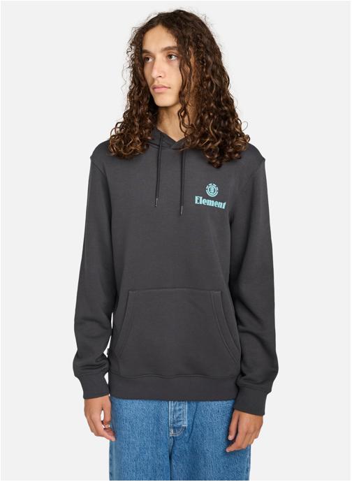 Element Sweats à capuche Epic Po homme noir