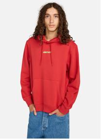 Sweats à capuche Lowcase Bp Po homme marron