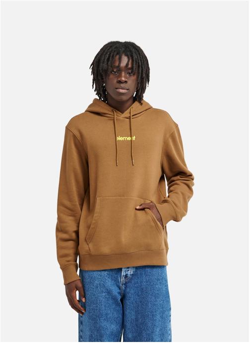 Element Sweats à capuche Lowcase Bp Po homme marron