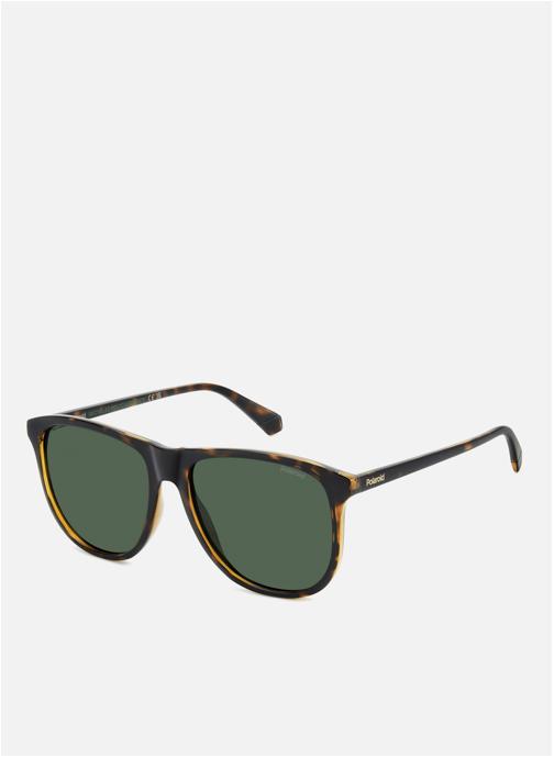 Polaroid Lunettes de soleil homme marron