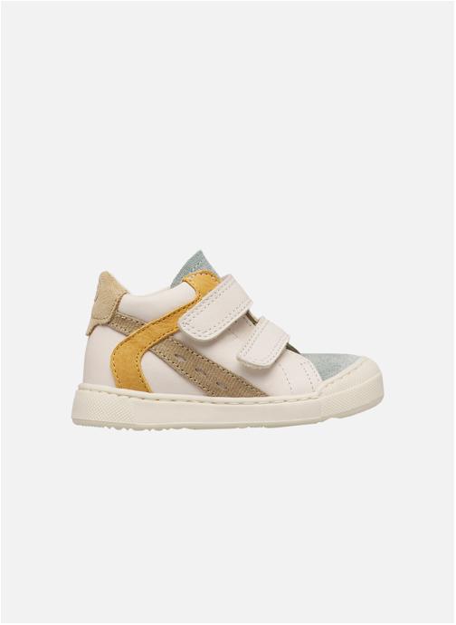 Falcotto Baskets basses Sneakers AVENISS 2 VL Sage- garçon gris