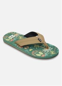 Sandales et mules All Day Impact Print homme marron