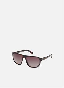 Lunettes de soleil homme marron Timberland Lunettes de soleil homme marron Marron