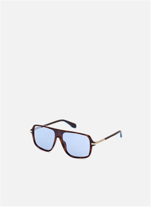 adidas originals Lunettes de soleil homme marron