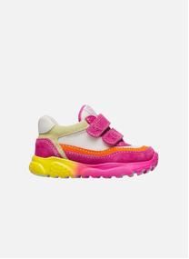 Baskets basses Sneakers AMANTEA 2 VL. Céleste-Blanc garçon rose Falcotto Baskets basses Sneakers AMANTEA 2 VL. Céleste-Blanc garçon rose Rose fluo