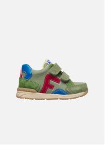 Baskets basses Sneakers NAERIS VL. Vert-Bleu garçon bleu