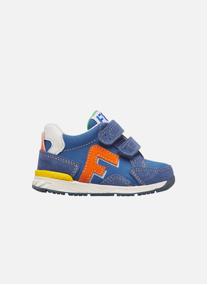 Baskets basses Sneakers NAERIS VL. Vert-Bleu garçon bleu
