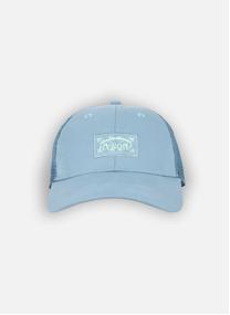 Casquettes ICON homme bleu