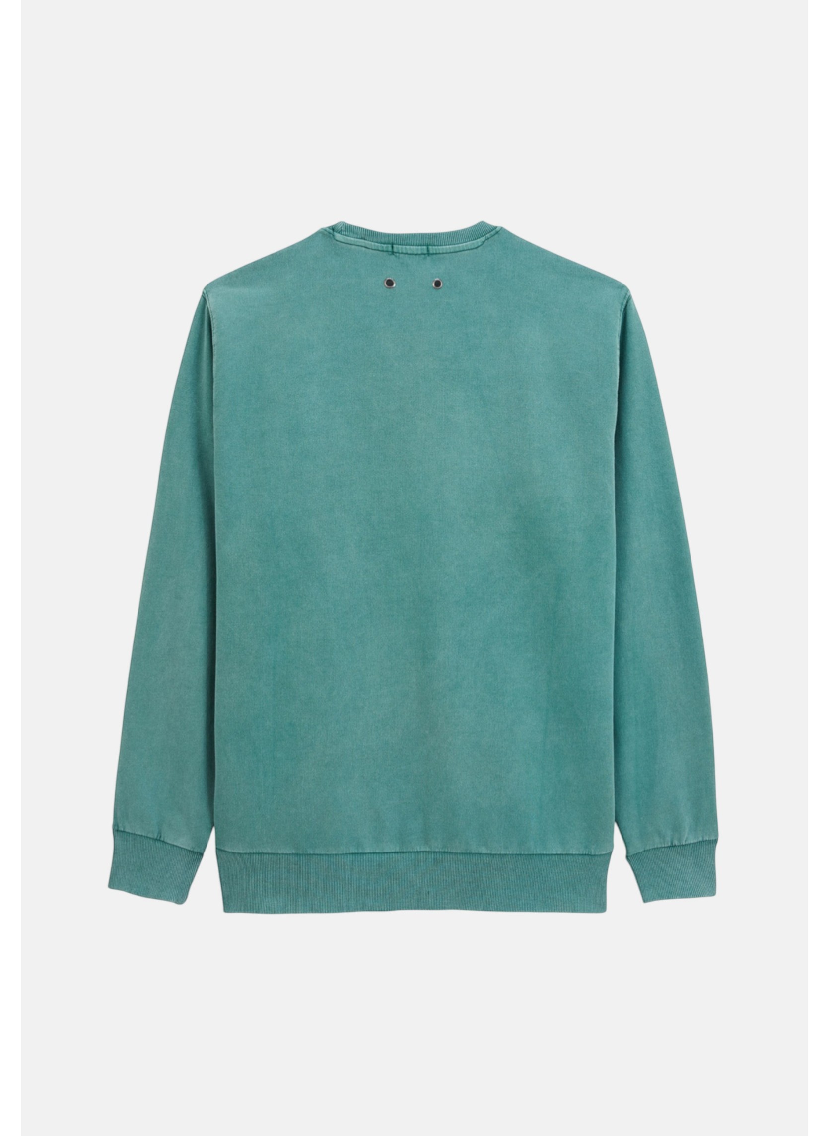 Sweats à capuche Sweat homme vert Serge Blanco Sweats à capuche Sweat homme vert Vert