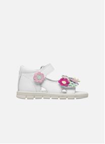 Sandales Sandales SLAMMY Blanc- fille blanc Falcotto Sandales Sandales SLAMMY Blanc- fille blanc Blanc