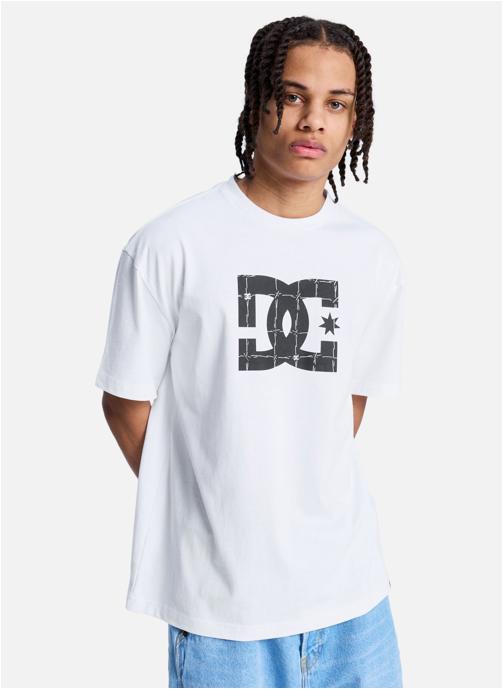 DC Shoes Tee-shirts DC Star Filled homme blanc