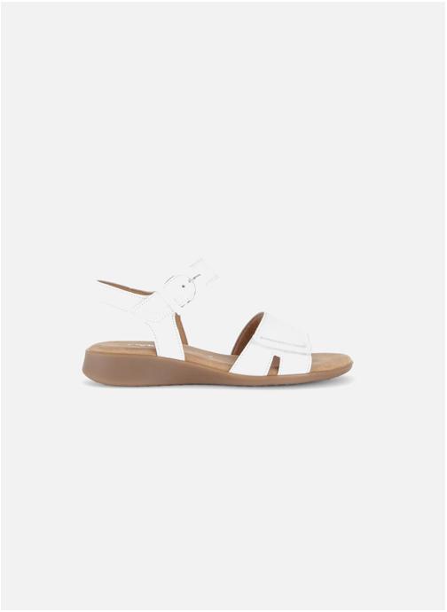 Gabor Sandales 82.802 femme blanc