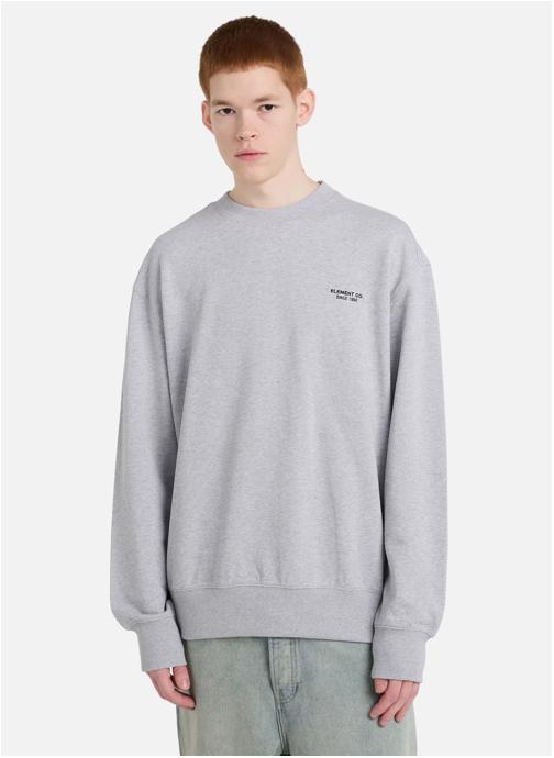 Element Sweats à capuche Element Co homme gris