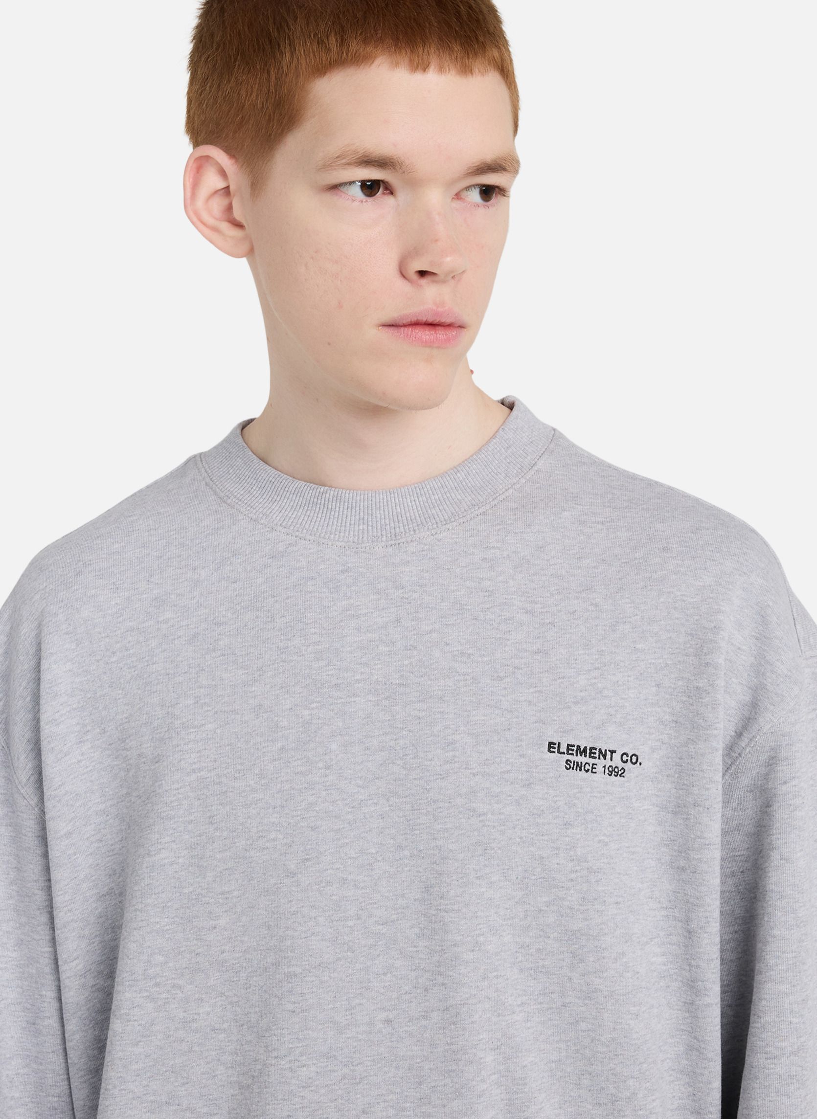 Sweats à capuche Element Co homme gris Element Sweats à capuche Element Co homme gris Gris