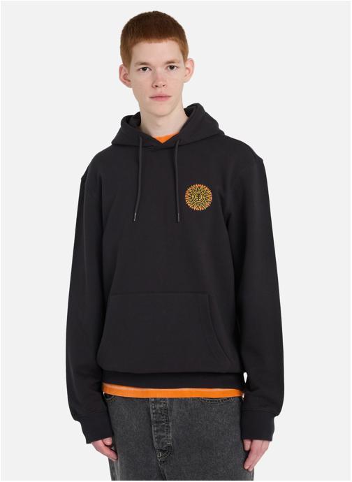 Element Sweats à capuche Timber Orbit homme noir