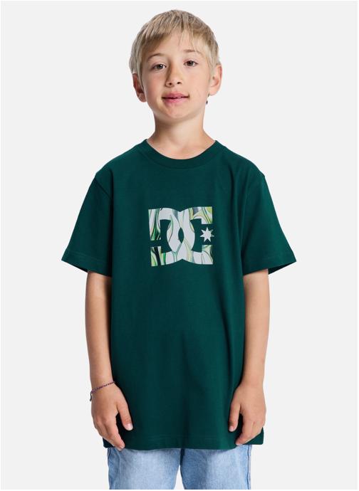 DC Shoes Tee-shirts DC Star Filled garçon vert