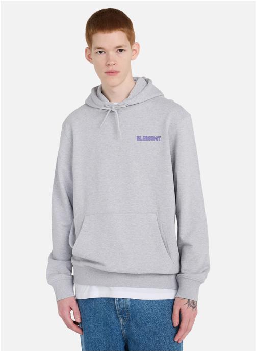 Element Sweats à capuche Swamps homme gris