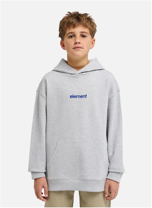 Element Sweats à capuche Lowcase garçon gris