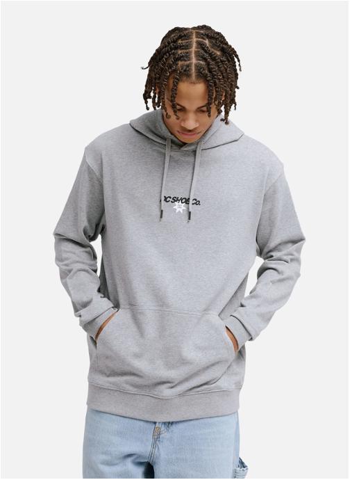 DC Shoes Sweats à capuche Vantura homme gris