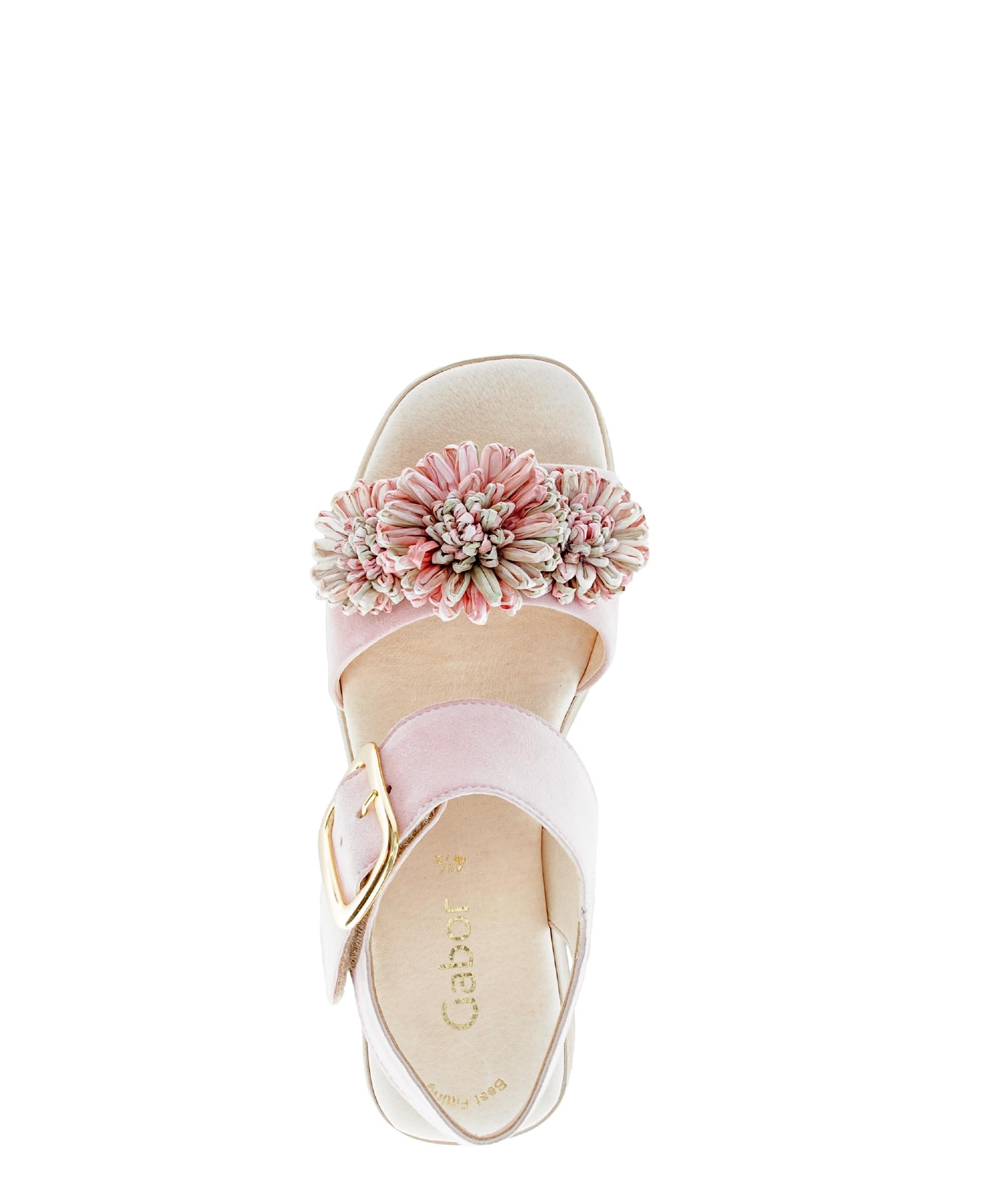 Sandales 84.525 femme rose Gabor Sandales 84.525 femme rose Rose