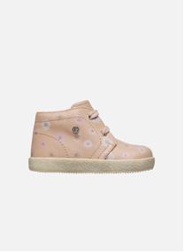 Baskets basses Chaussures basses CONTE Rose poudré- fille rose Falcotto Baskets basses Chaussures basses CONTE Rose poudré- fille rose Vieux rose