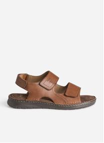 Sandales et mules SCOTTY homme marron Eram Sandales et mules SCOTTY homme marron Cognac