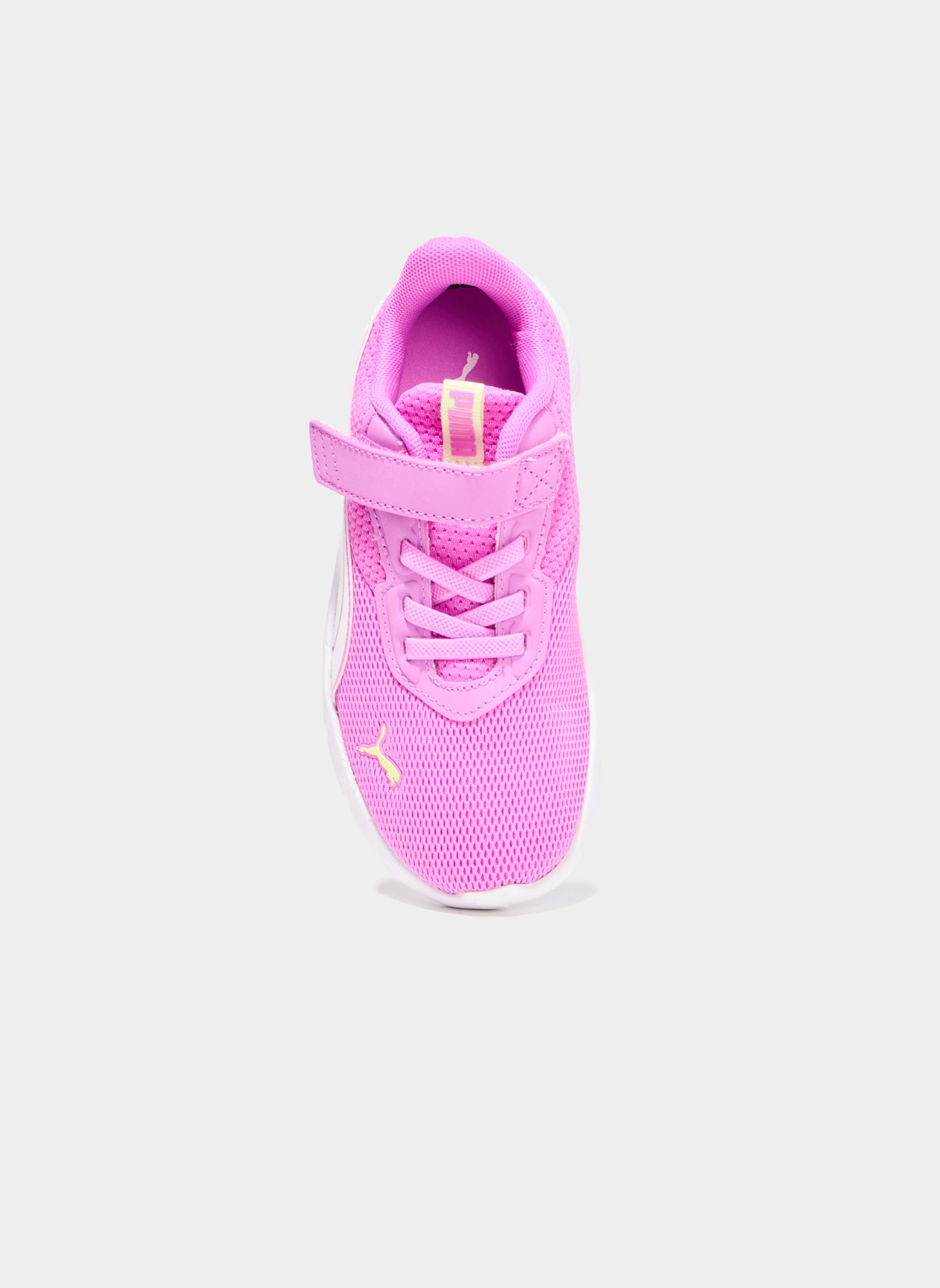 Baskets basses FLEXFOCUS_S_PF_RUN_252 fille rose Puma Baskets basses FLEXFOCUS_S_PF_RUN_252 fille rose Rose foncé