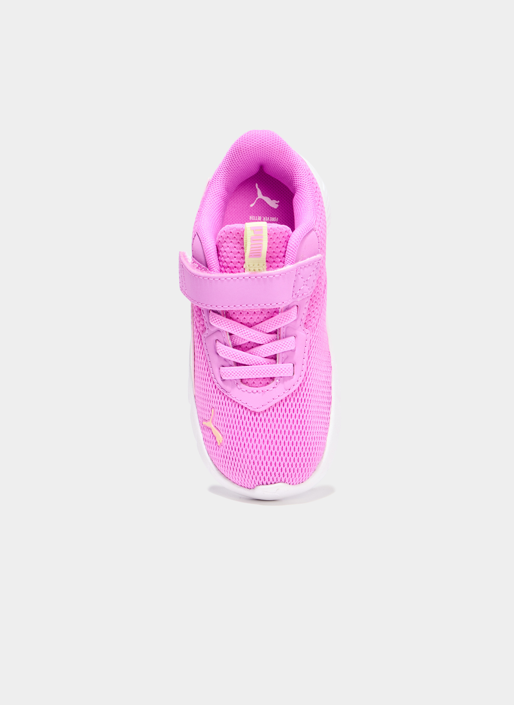 Baskets basses FLEXFOCUS_S_MF_RUN_252 fille rose Puma Baskets basses FLEXFOCUS_S_MF_RUN_252 fille rose Rose foncé
