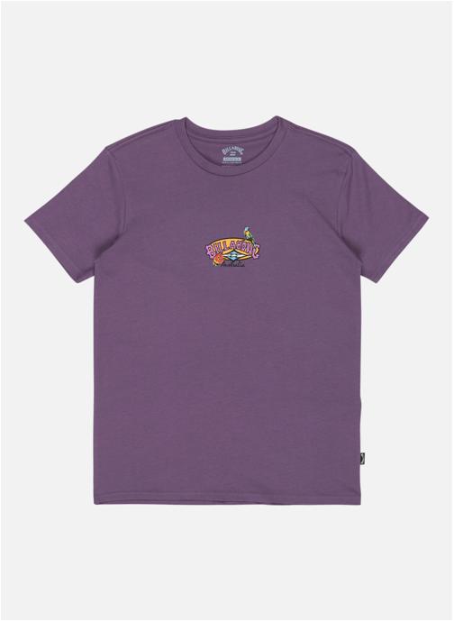 Billabong Tee-shirts Origins garçon violet