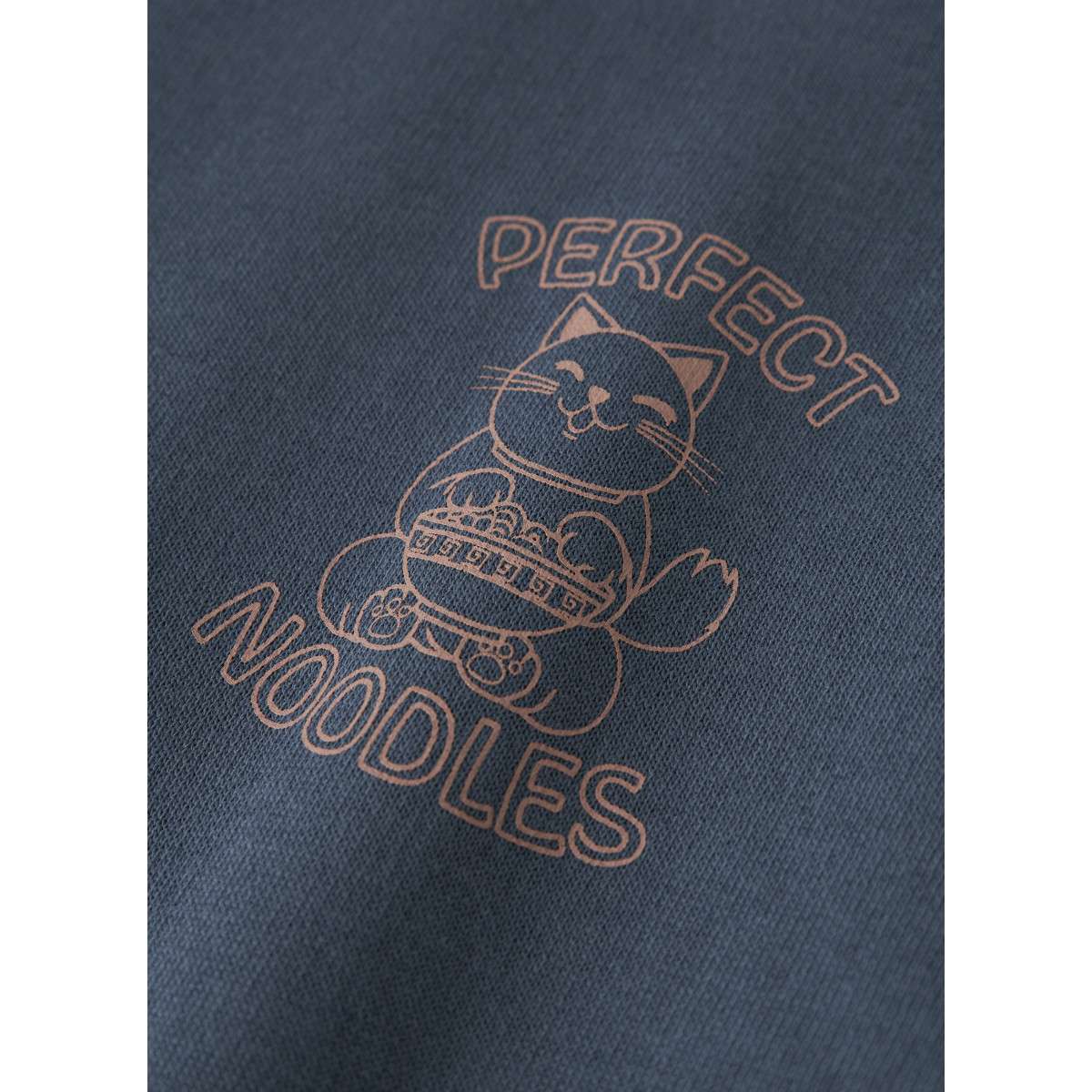 Sweats à capuche Sweat coton col rond droit - 13252721 garçon bleu Name it Sweats à capuche Sweat coton col rond droit - 13252721 garçon bleu Bleu