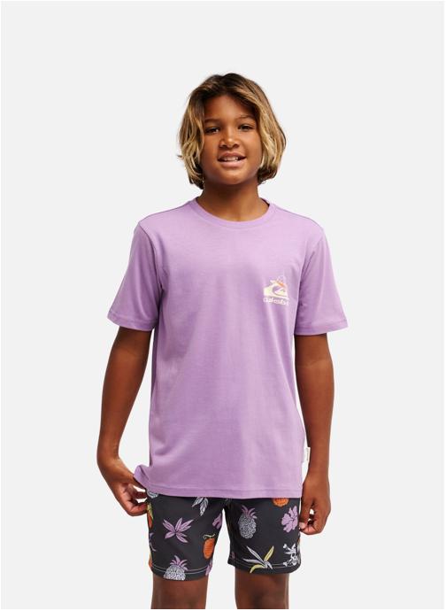 Quiksilver Tee-shirts One Piece Merry garçon violet