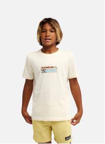 Tee-shirts One Piece Pirates Island garçon noir