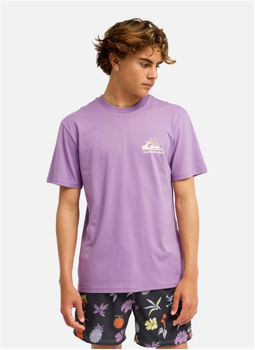 Quiksilver Tee-shirts One Piece Merry homme violet