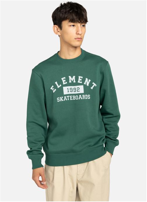 Element Sweats à capuche Sweat HOME TEAM CR homme vert
