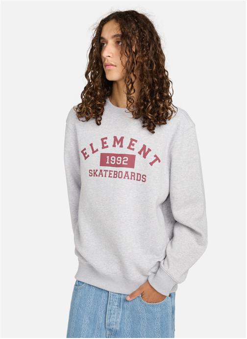 Element Sweats à capuche Home Team Cr homme gris