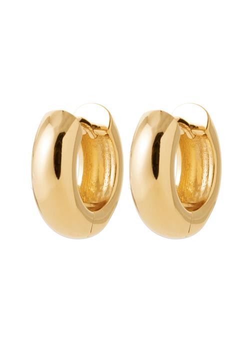 Brillaxis Boucles d'oreilles femme or et bronze