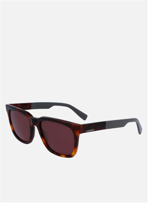 Lacoste Lunettes de soleil homme marron