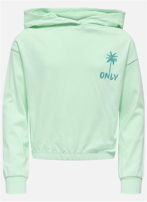 ONLY Sweats à capuche Sweat coton biologique à capuche droit - 15370259 fille vert