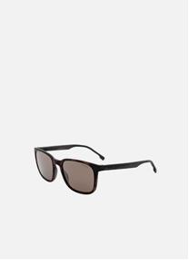 Lunettes de soleil homme marron