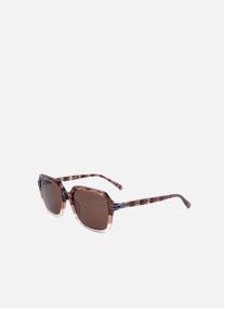 Lunettes de soleil homme marron