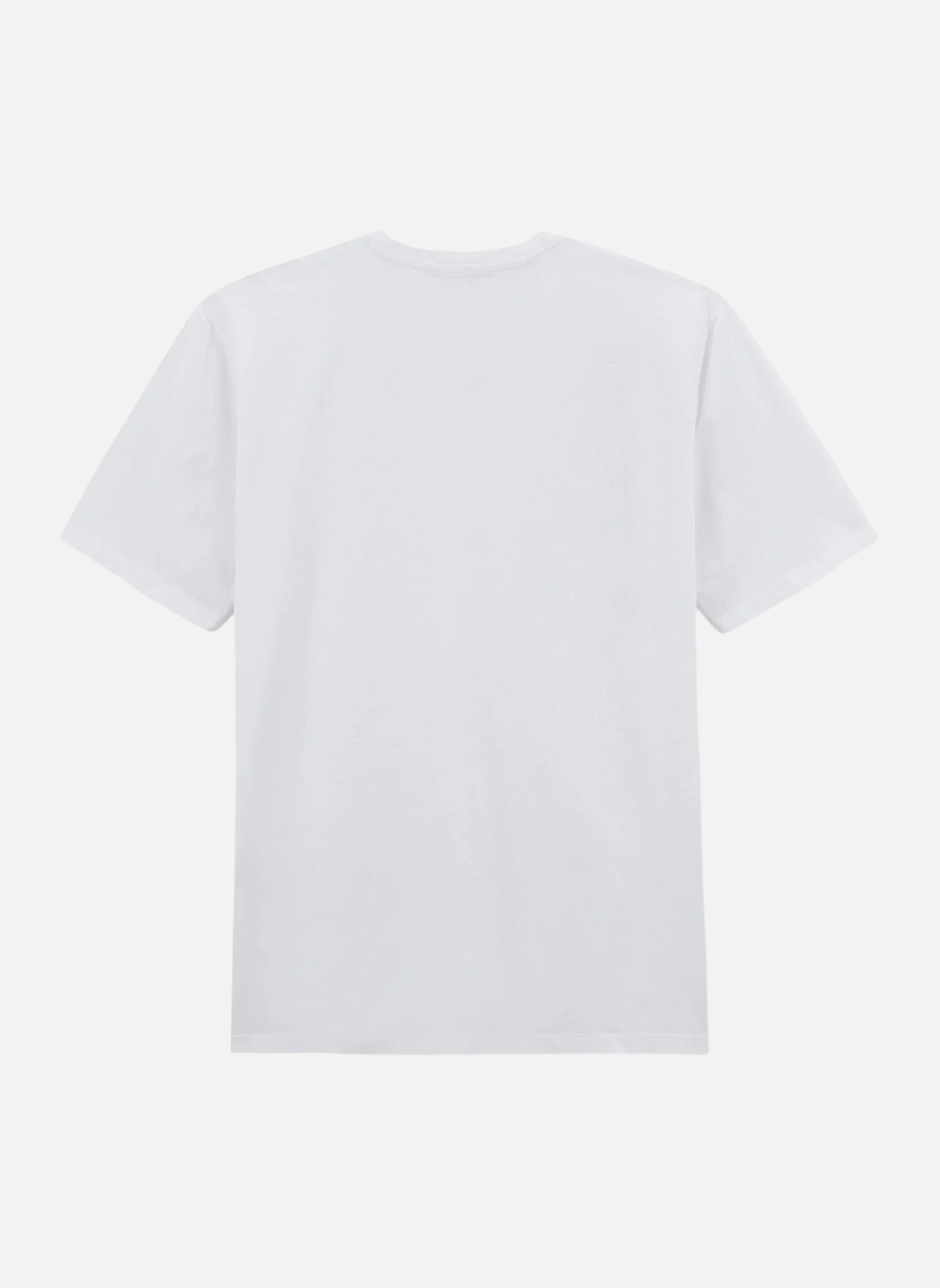Tee-shirts Theo homme blanc Serge Blanco Tee-shirts Theo homme blanc Blanc