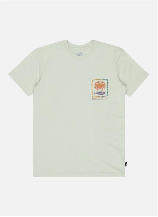 Billabong Tee-shirts Fauna garçon vert