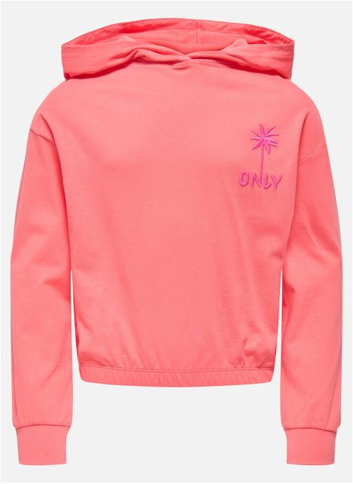 ONLY Sweats à capuche Sweat coton biologique à capuche droit - 15370259 fille rouge