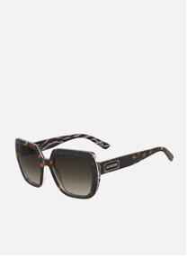 Lunettes de soleil femme marron Love Moschino Lunettes de soleil femme marron Marron