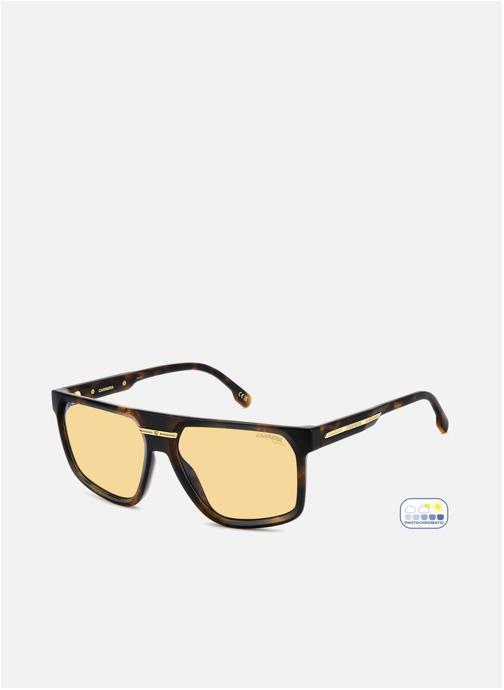 Carrera Lunettes de soleil homme marron