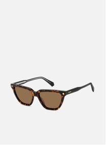 Lunettes de soleil femme marron Polaroid Lunettes de soleil femme marron Marron