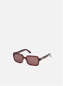 Lunettes de soleil homme marron GCDS Lunettes de soleil homme marron Marron