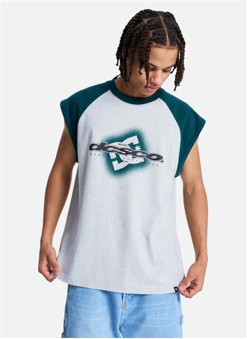 DC Shoes Tee-shirts DC Raglan homme gris