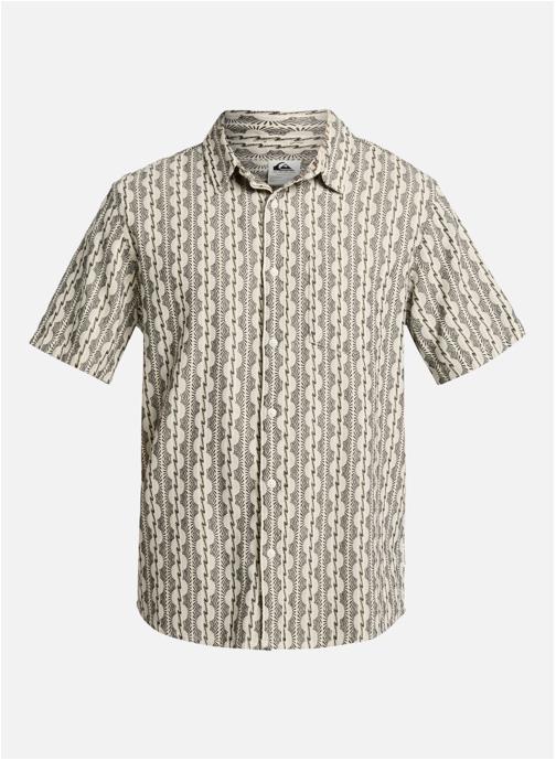 Quiksilver Tee-shirts Horizons homme marron